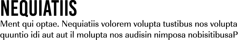 Nequiatiis Ment qui optae. Nequiatiis volorem volupta tustibus nos volupta quuntio idi aut aut il molupta nos audisin...