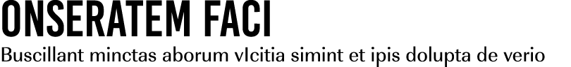 Onseratem faci Buscillant minctas aborum vIcitia simint et ipis dolupta de verio